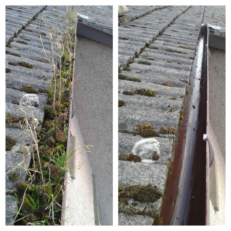 gutter cleaning