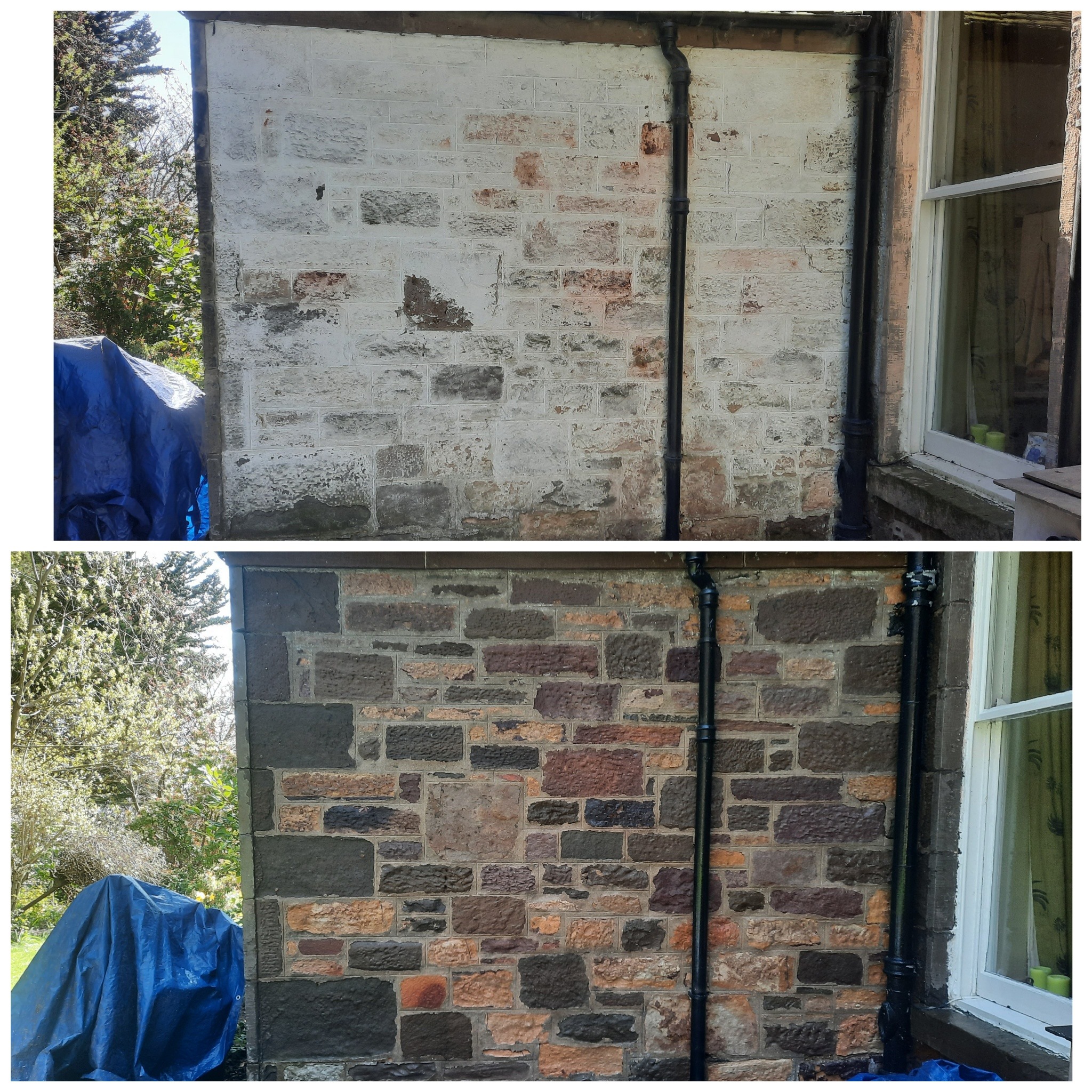 render cleaning, softwashing, steam cleaning