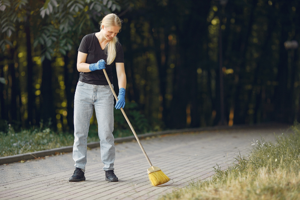driveway cleaning