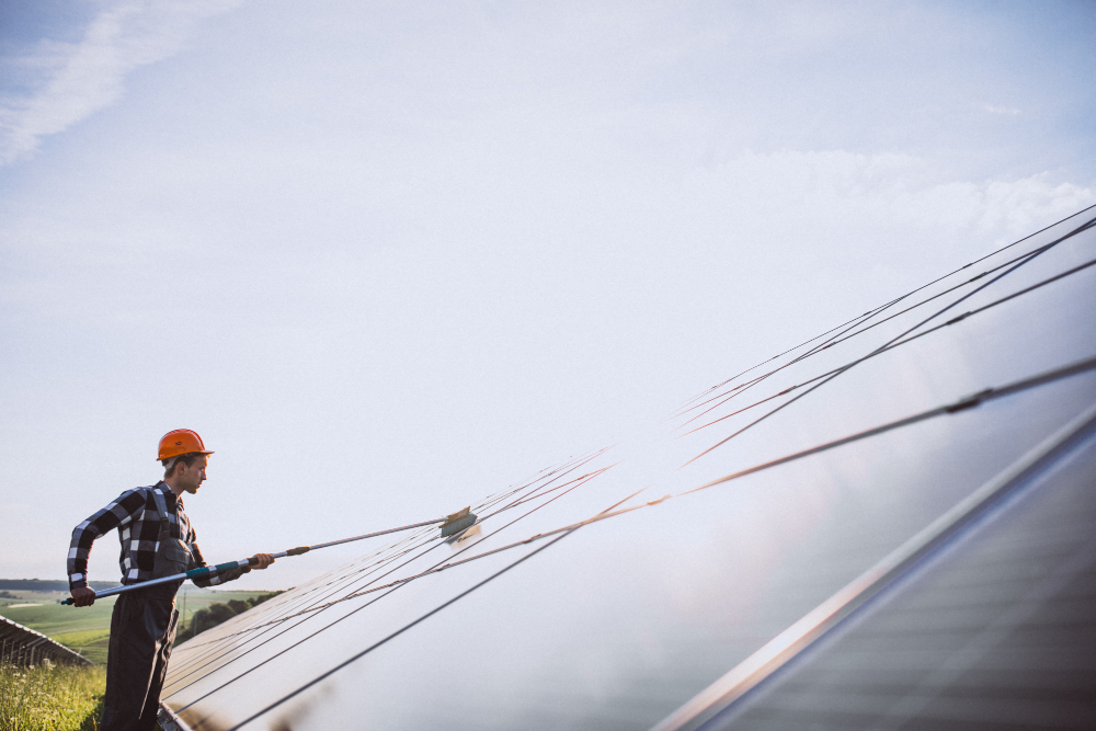 roof cleaning