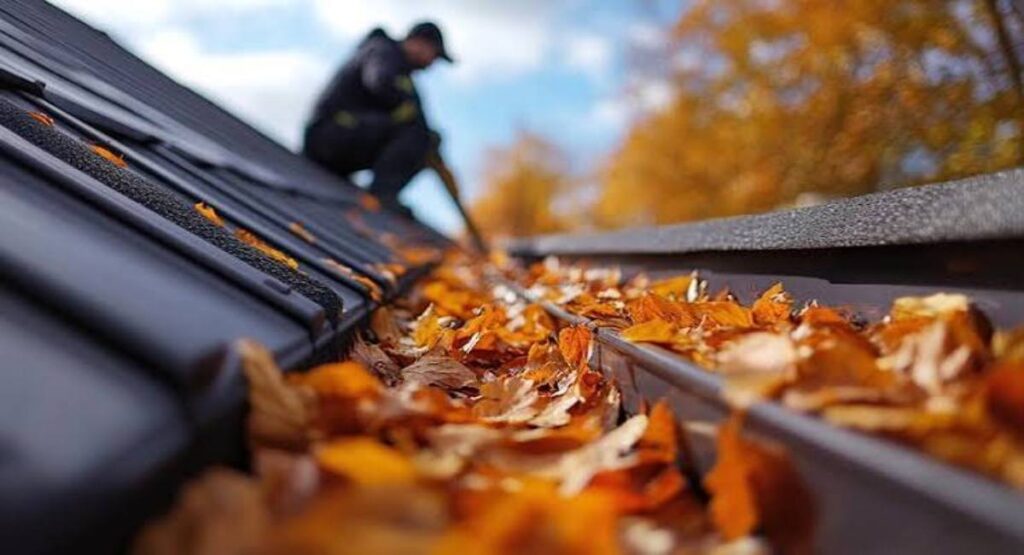 Gutter Cleaning
