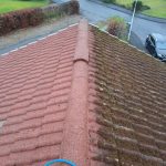 roof cleaning