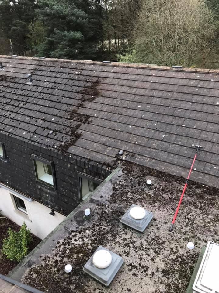 building cleaning