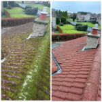 Is It a Good Idea to Have Your Roof Cleaned? Yes—Here’s Why