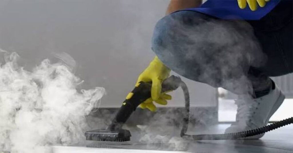 Steam Clean vs. Softwash Roof Cleaning: Which Is Right for Your Home?