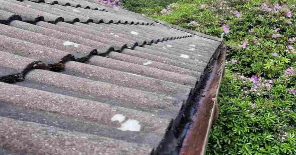 Industrial & Commercial Gutter Cleaning Dundee