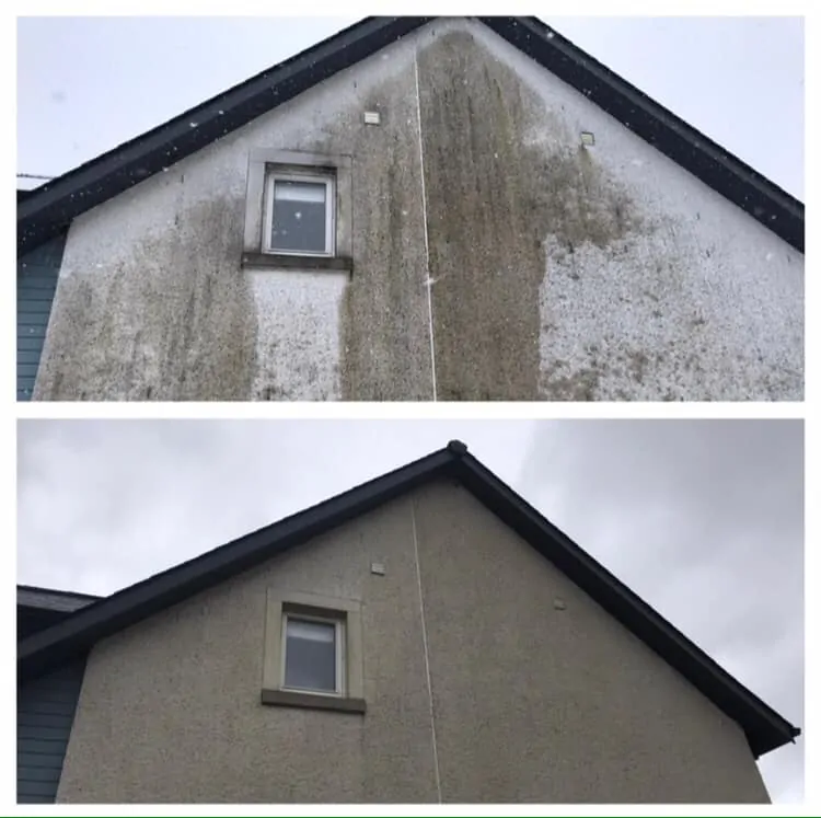 Render restoration through cleaning in Fife Moss-covered render cleaned in Fife