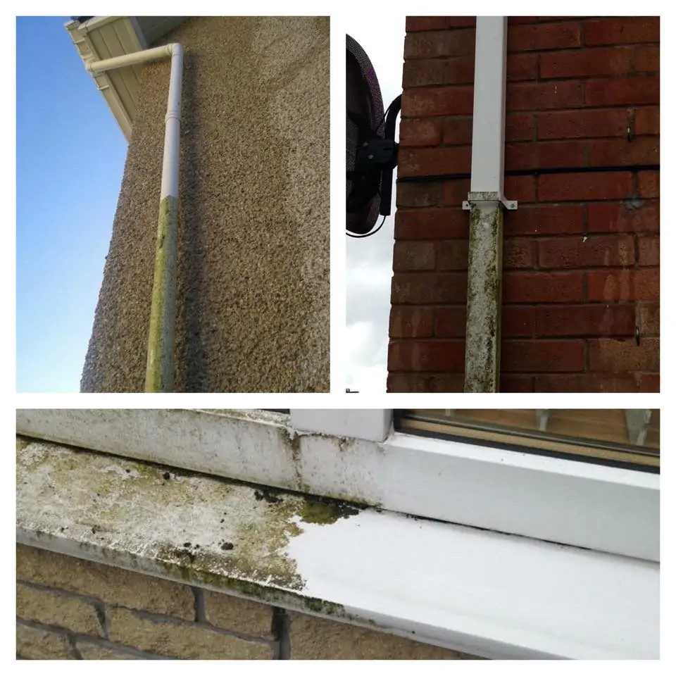 Clean fascia and soffits after cleaning in Choosing the Right  Company: 10 Tips