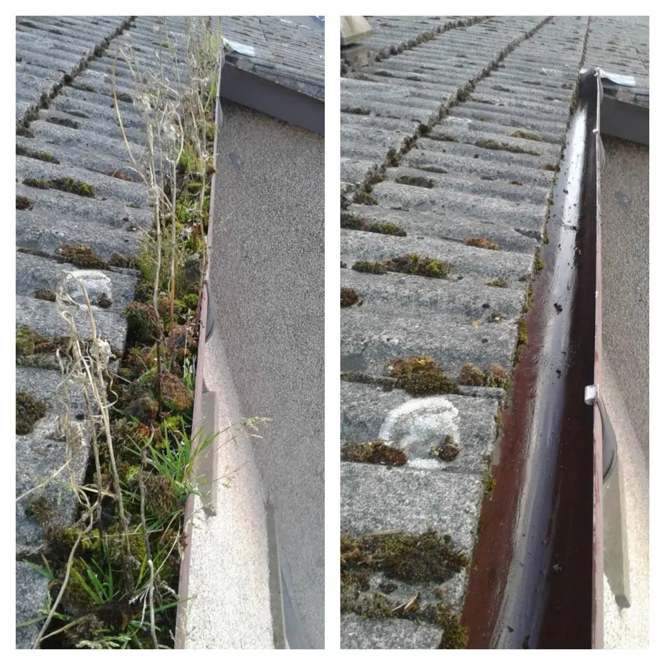 Clean gutters after professional cleaning in Choosing the Right  Company: 10 Tips