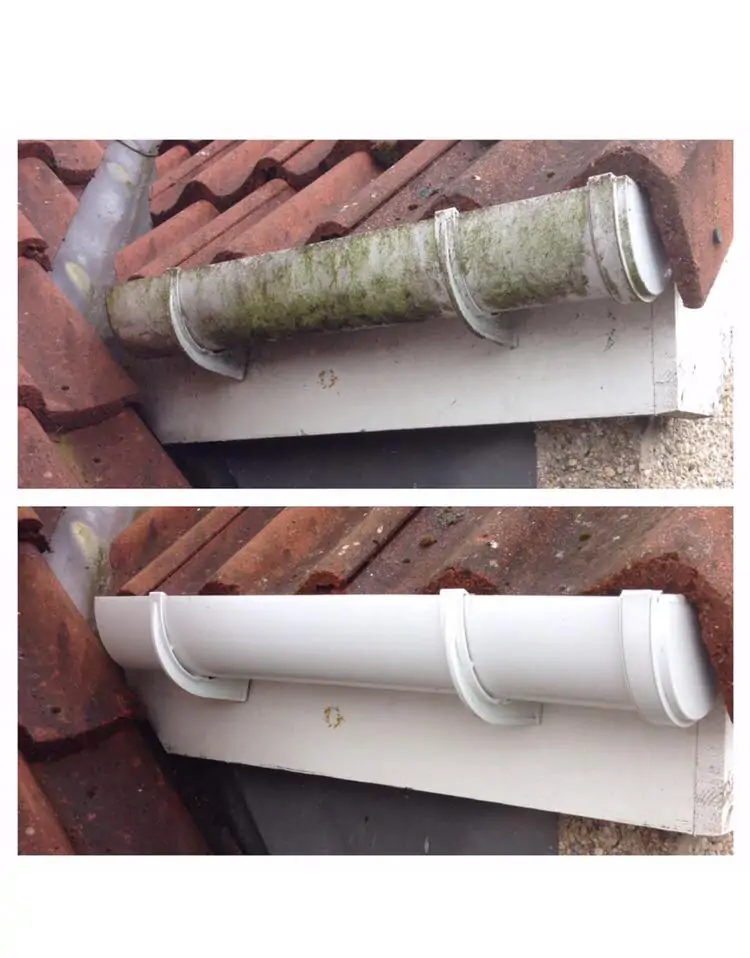 Gutter cleaning transformation in Choosing the Right  Company: 10 Tips
