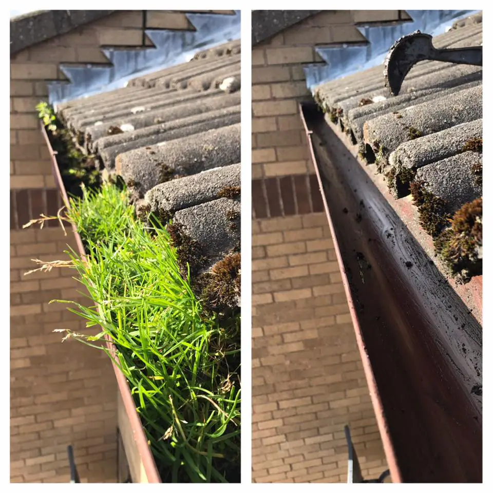 before & after of gutter cleaning in dundee